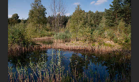 Thüringen (Thuringia)