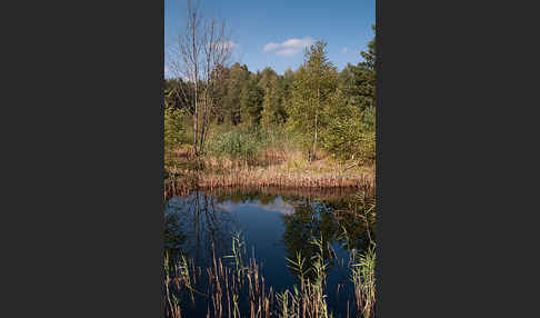 Thüringen (Thuringia)