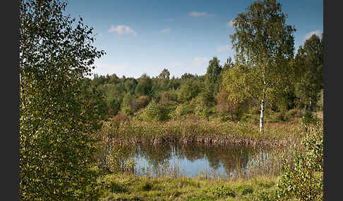 Thüringen (Thuringia)