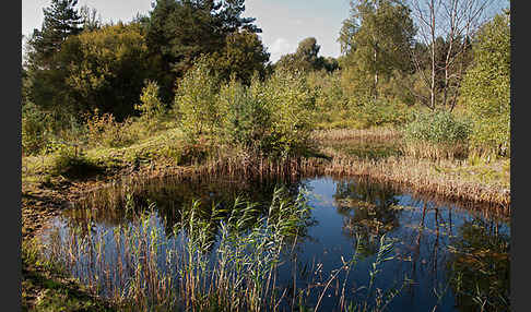 Thüringen (Thuringia)