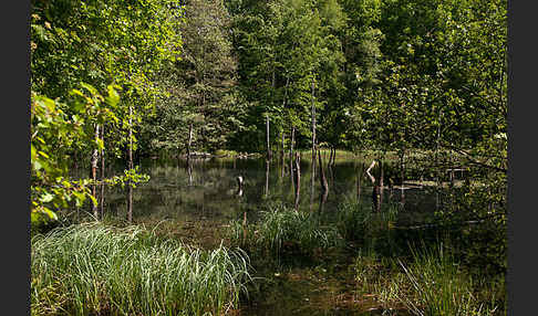 Thüringen (Thuringia)