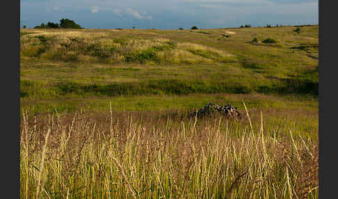 Thüringen (Thuringia)