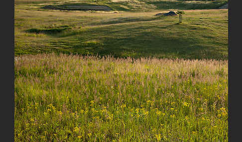 Thüringen (Thuringia)