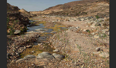 Marokko (Morocco)