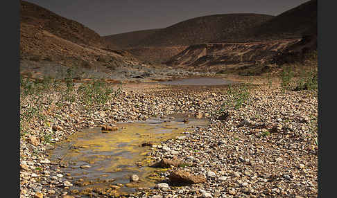 Marokko (Morocco)