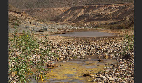 Marokko (Morocco)