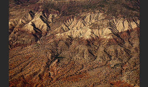 Marokko (Morocco)