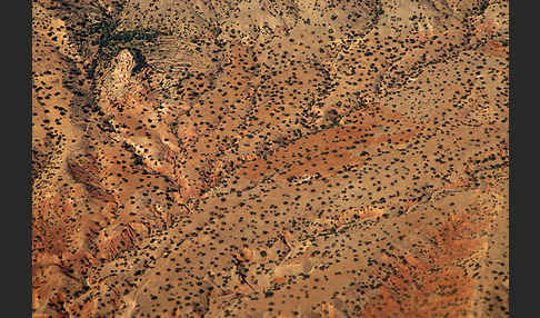 Marokko (Morocco)