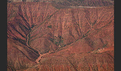 Marokko (Morocco)