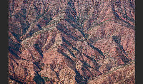 Marokko (Morocco)