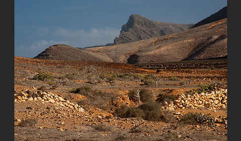 Lanzarote (Kanarische Inseln)