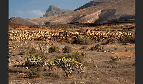 Lanzarote (Kanarische Inseln)