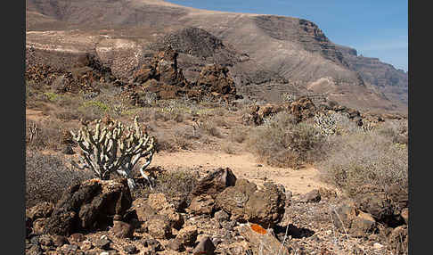 Lanzarote (Kanarische Inseln)