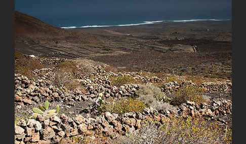 Lanzarote (Kanarische Inseln)