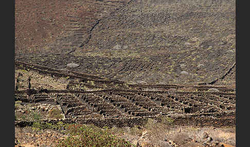 Lanzarote (Kanarische Inseln)