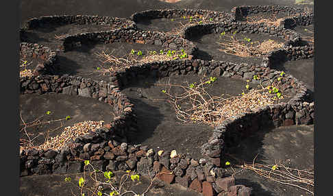 Lanzarote (Kanarische Inseln)