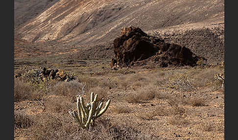 Lanzarote (Kanarische Inseln)