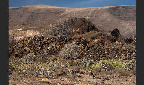 Lanzarote (Kanarische Inseln)