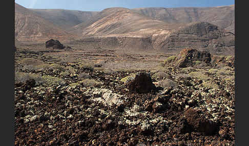 Lanzarote (Kanarische Inseln)