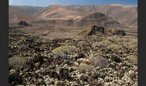 Lanzarote (Kanarische Inseln)