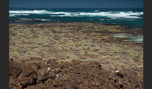 Lanzarote (Kanarische Inseln)