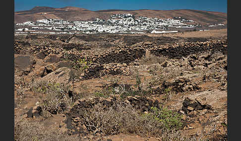 Lanzarote (Kanarische Inseln)