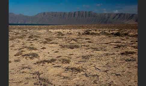 Lanzarote (Kanarische Inseln)