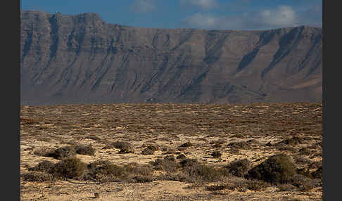 Lanzarote (Kanarische Inseln)