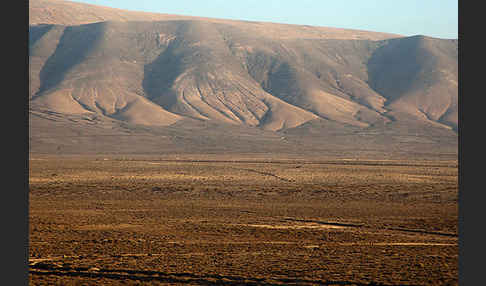 Lanzarote (Kanarische Inseln)