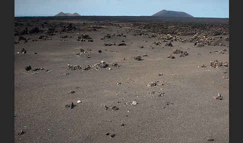 Lanzarote (Kanarische Inseln)