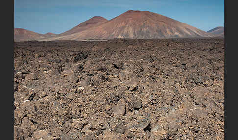 Lanzarote (Kanarische Inseln)