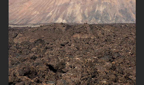 Lanzarote (Kanarische Inseln)