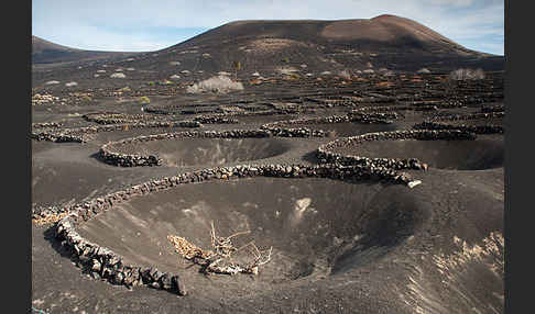 Lanzarote (Kanarische Inseln)