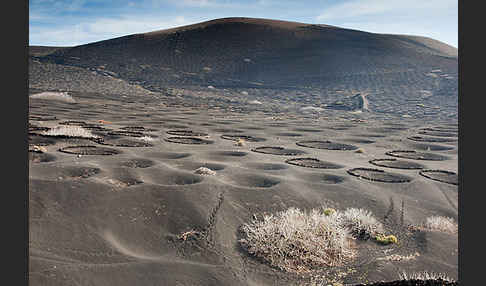 Lanzarote (Kanarische Inseln)