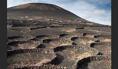 Lanzarote (Kanarische Inseln)