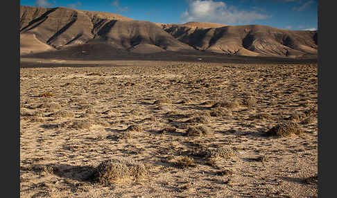 Lanzarote (Kanarische Inseln)