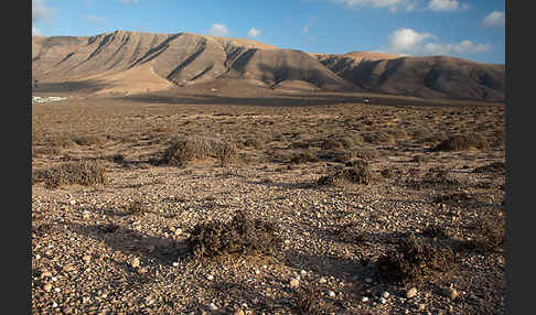 Lanzarote (Kanarische Inseln)