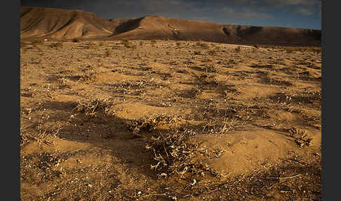 Lanzarote (Kanarische Inseln)