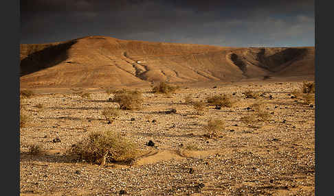 Lanzarote (Kanarische Inseln)
