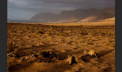 Lanzarote (Kanarische Inseln)