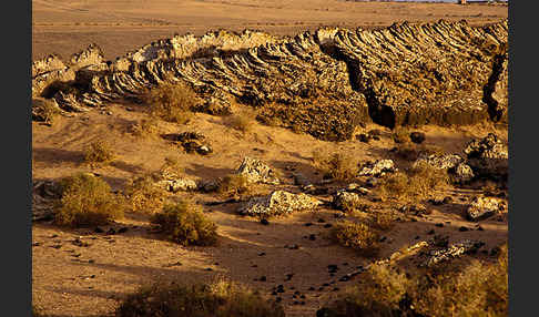 Lanzarote (Kanarische Inseln)