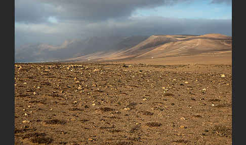 Lanzarote (Kanarische Inseln)