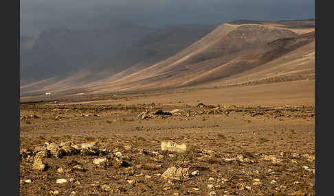 Lanzarote (Kanarische Inseln)