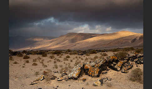 Lanzarote (Kanarische Inseln)