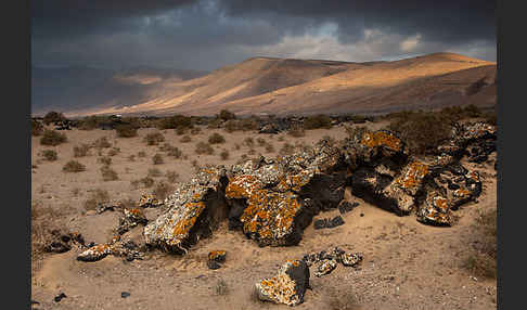 Lanzarote (Kanarische Inseln)