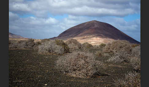 Lanzarote (Kanarische Inseln)