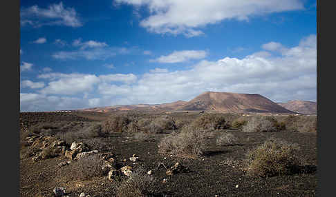 Lanzarote (Kanarische Inseln)