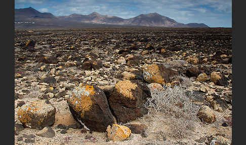 Lanzarote (Kanarische Inseln)