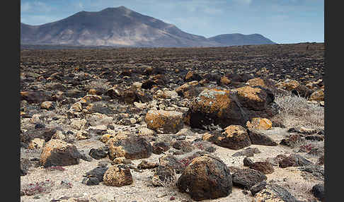 Lanzarote (Kanarische Inseln)