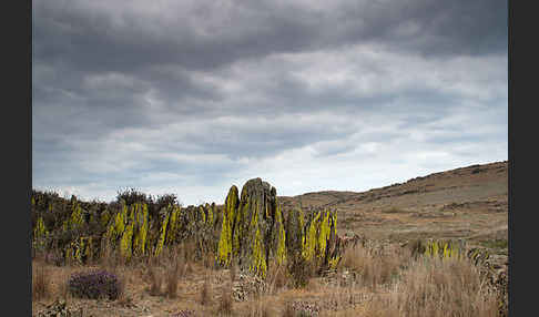 Spanien (Spain)